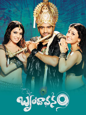 Brindavanam (The Super Khiladi) (2010) (Hindi – Telugu) Dual Audio [1.4GB]
