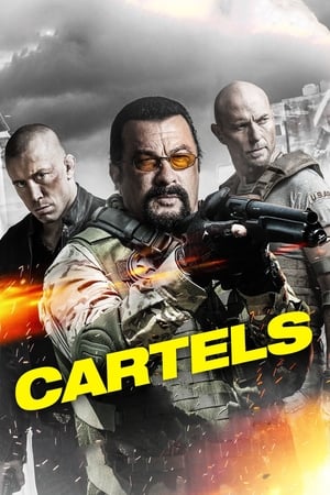 Cartels 2017 Hindi Dual Audio 300MB