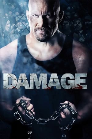 Damage 2009 Hindi Dual Audio 330MB