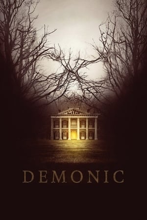 Demonic (2015) Hindi Dual Audio 300MB