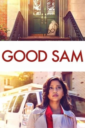 Good Sam 2019 Hindi Dual Audio [820MB]
