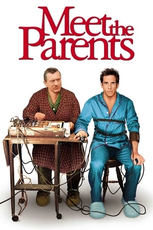 Meet the Parents 2000 Hindi Dual Audio [930MB]