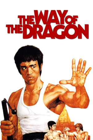 The Way of the Dragon (1972) Hindi Dual Audio [940MB]
