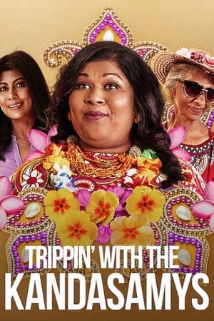 Trippin with the Kandasamys 2021 Hindi Dual Audio 300MB